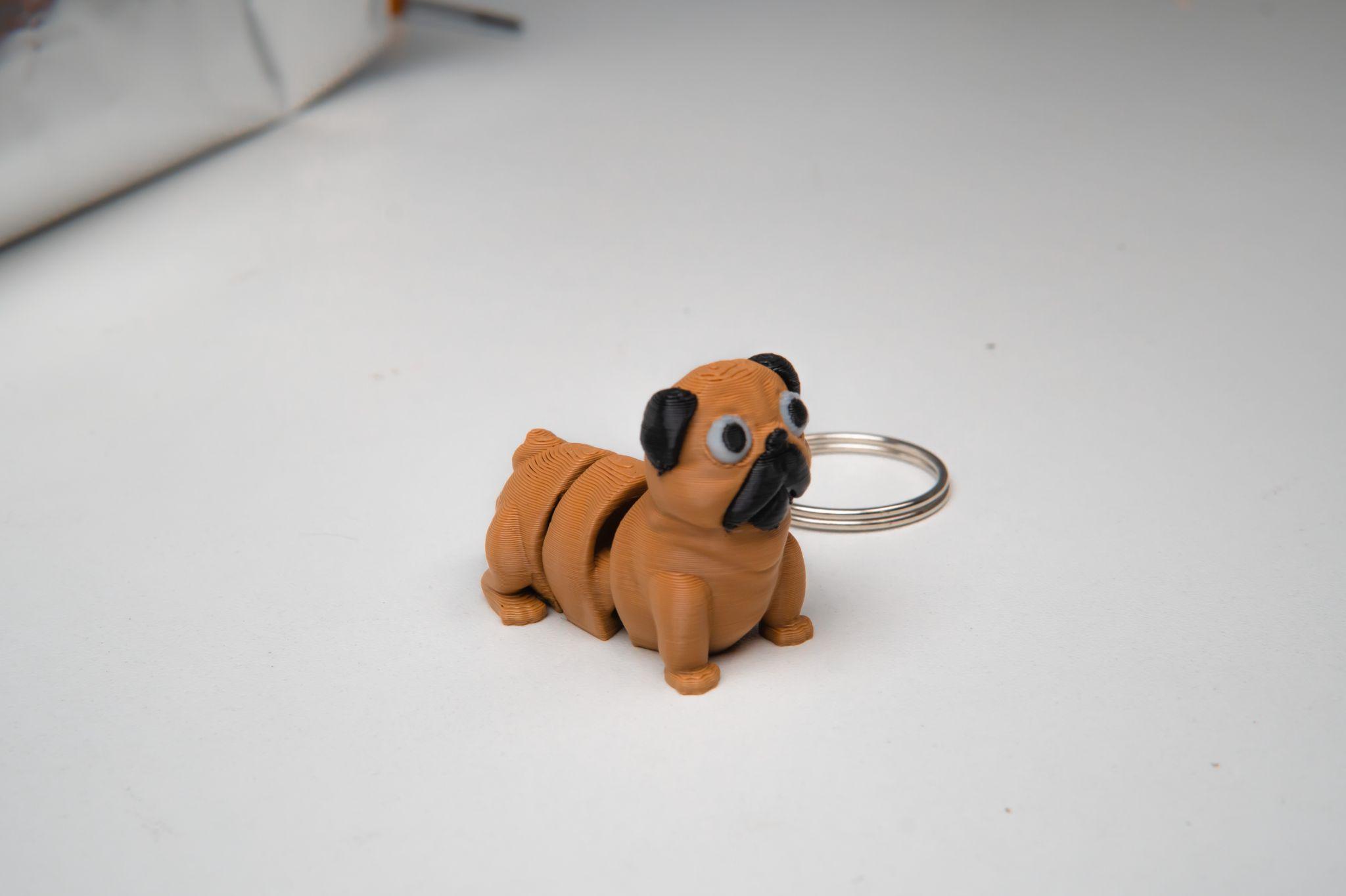 Flexi bordercoli dog Keytag